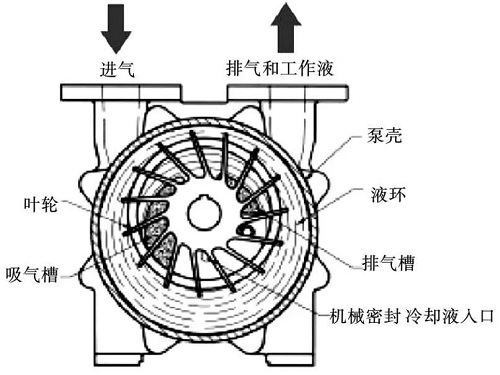 水環(huán)式真空泵的保養(yǎng)維護(hù)